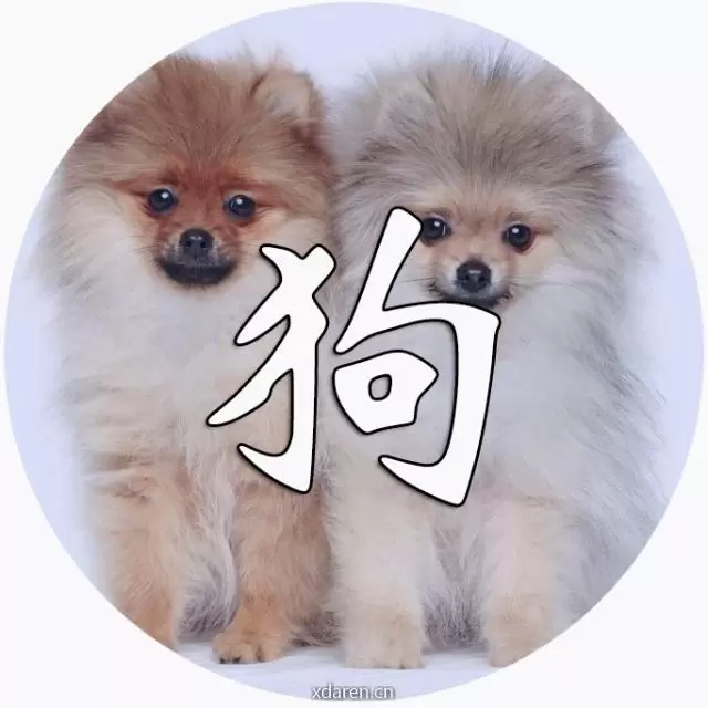 戌时狗