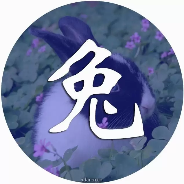 卯一兔