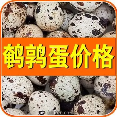 鹌鹑蛋价格