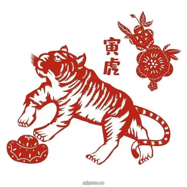 寅虎之年