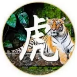 说说虎运