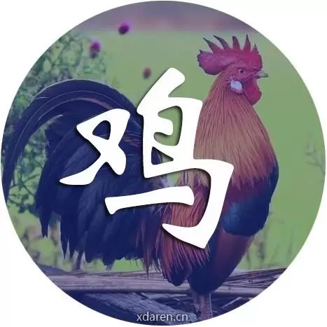幸运鸡