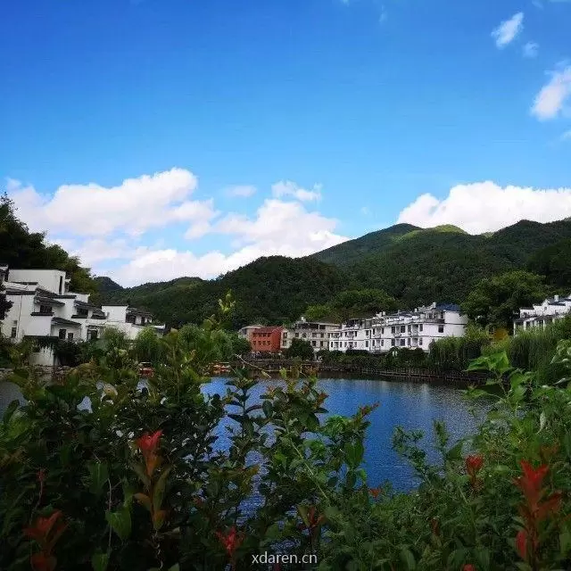 乡践与乡见
