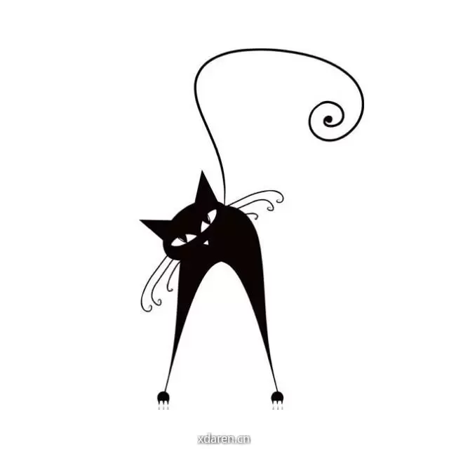 爱猫生活