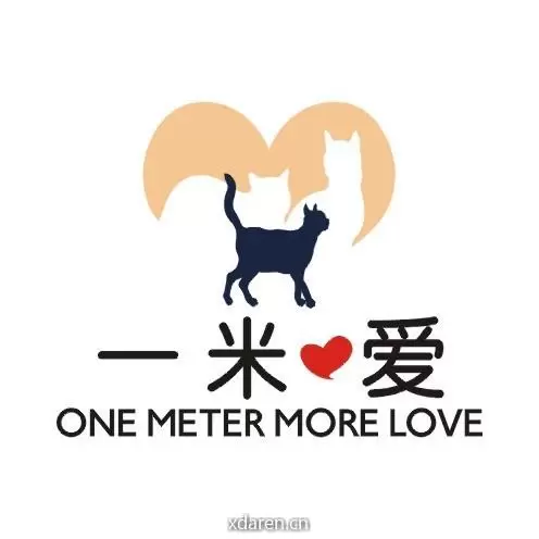 一米爱流浪猫救助团队