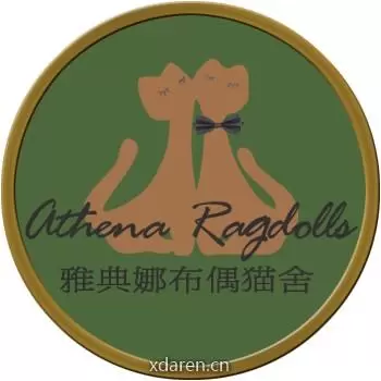 雅典娜布偶猫舍ATHENADOLLS