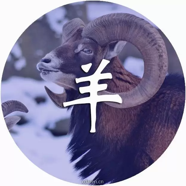 好运之羊