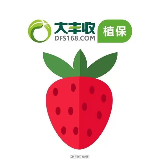 大丰收草莓号
