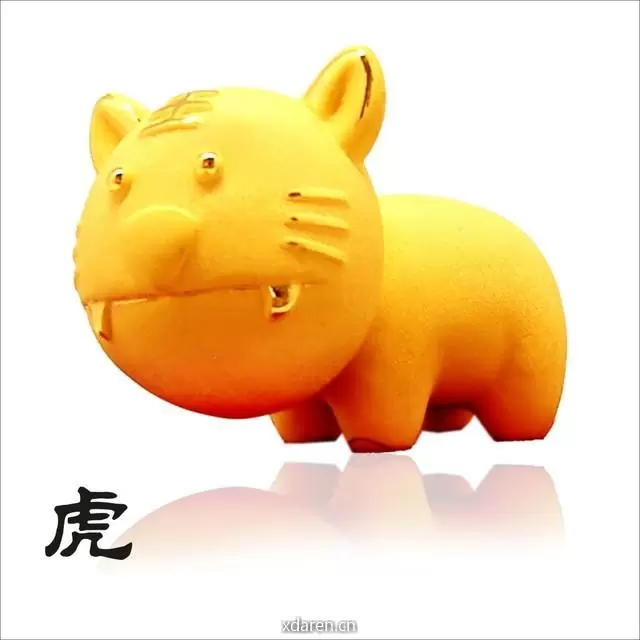 属虎运程解析
