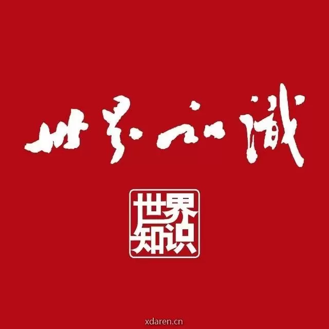 世界知识