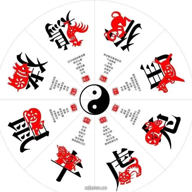 十二生肖运势大解析