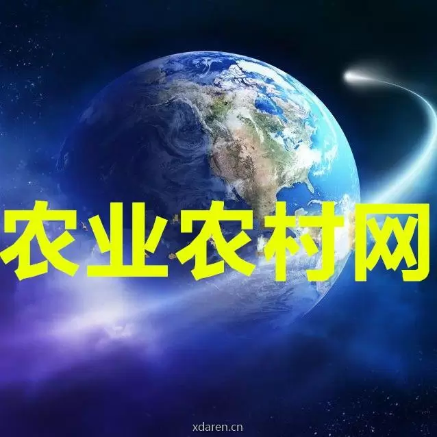 农业农村信息网