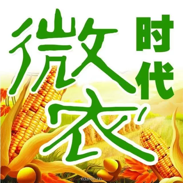 微农时代