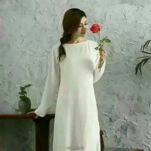 清清书苑
