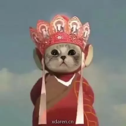 老鹏谈职场
