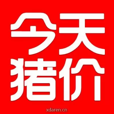 今天猪价