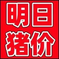 养猪有门道