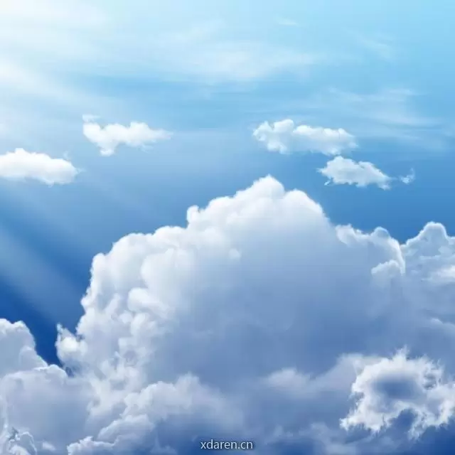 蓝天禽蛋联盟