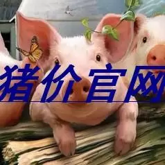 猪价官网