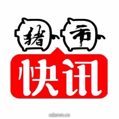 猪市快讯