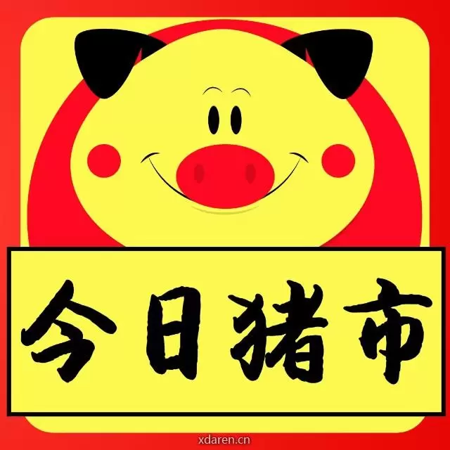 今日猪市行情