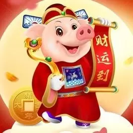 明天毛猪价
