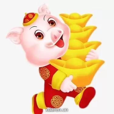 明早猪价