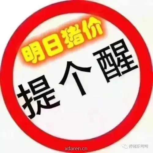 明日猪价行情
