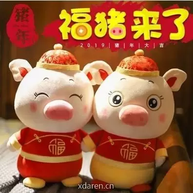 天天最新猪价查询