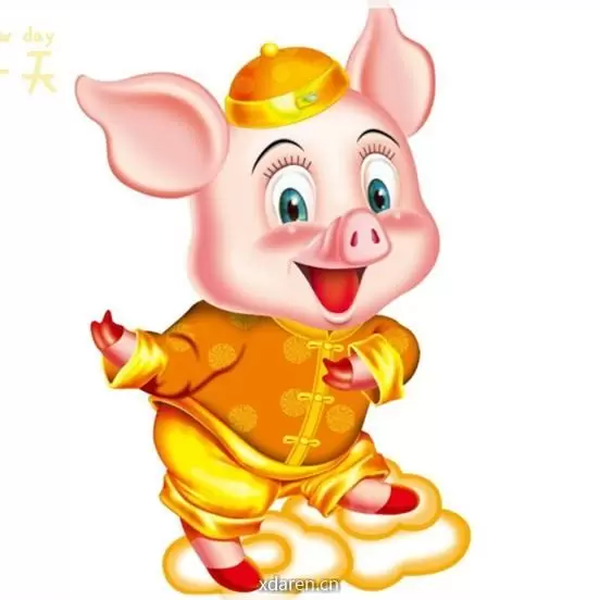 明日猪价表