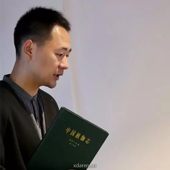 茶叶进化论