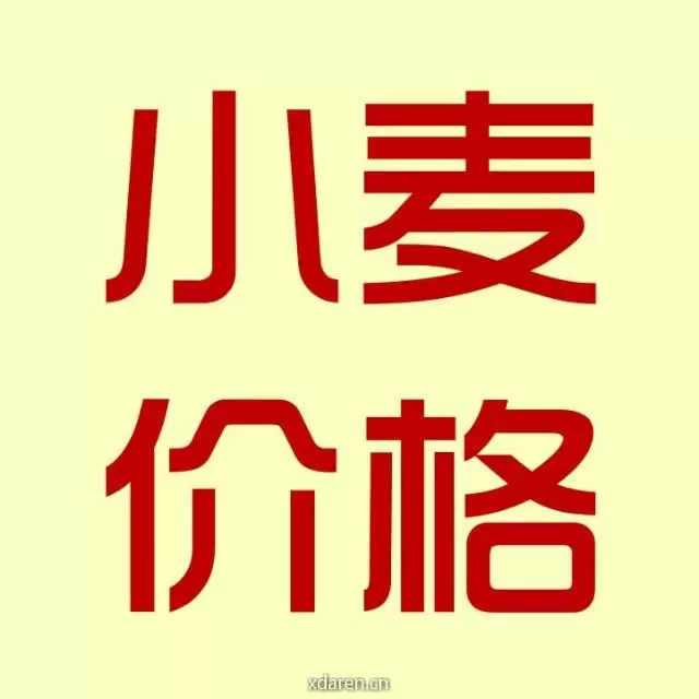 小麦价格