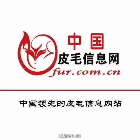 皮毛信息网