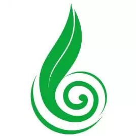 药通网