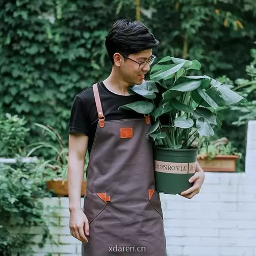 塔莎的花园