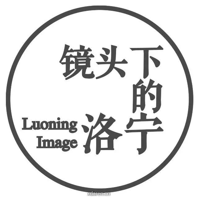 镜头下的洛宁