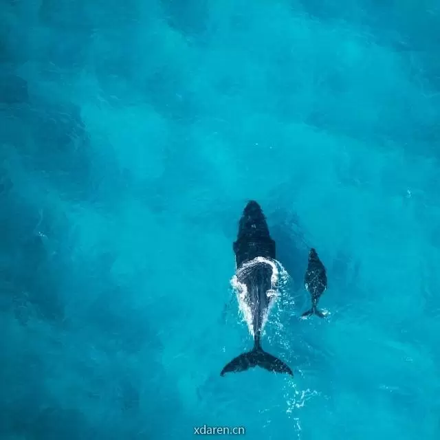 主题公园研究所