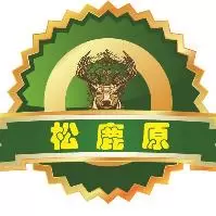 养老内控