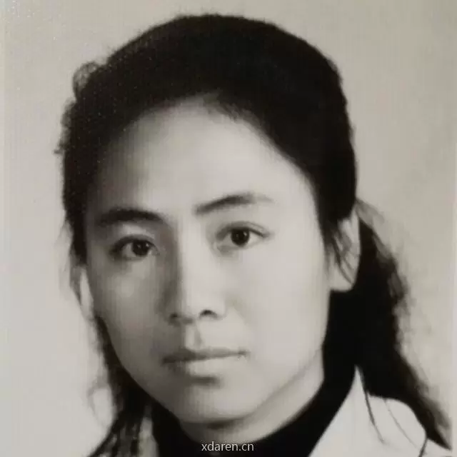行行写写