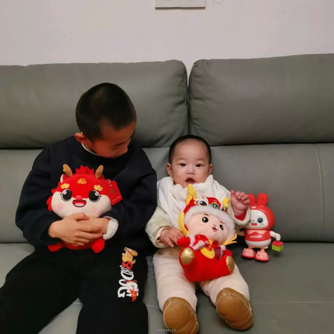 燕子说保障
