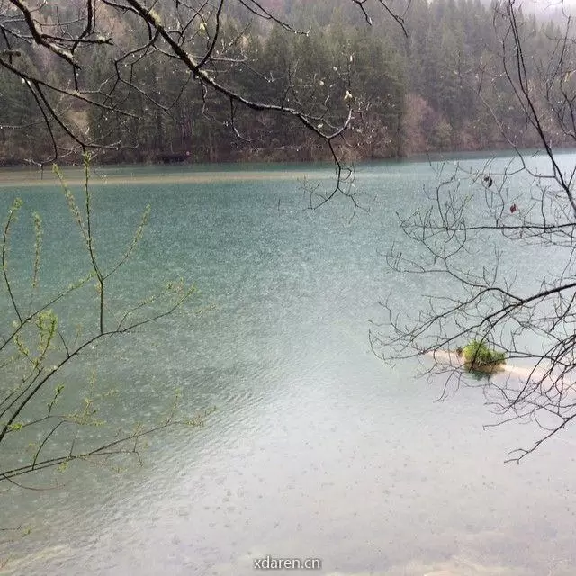 云淡风轻晴耕雨读