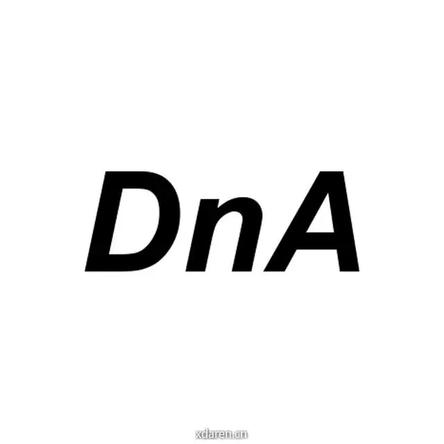 DnA建筑事务所