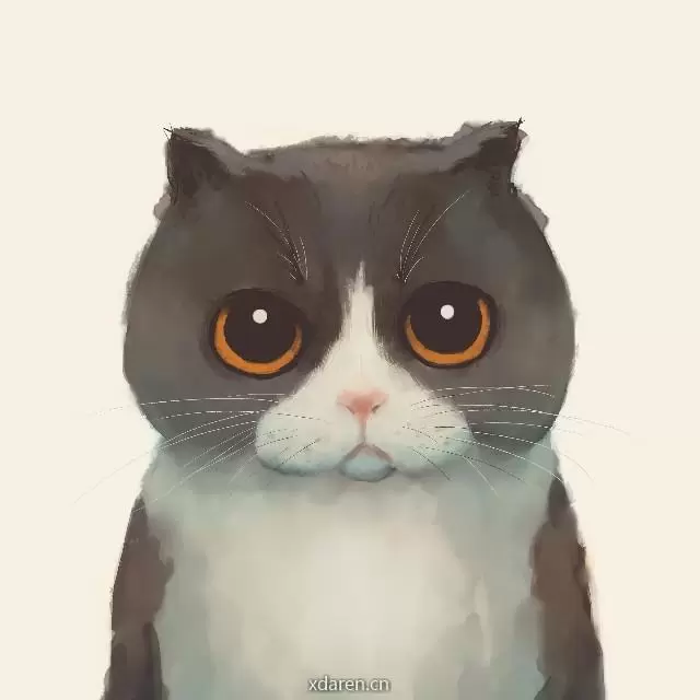 喵说Python