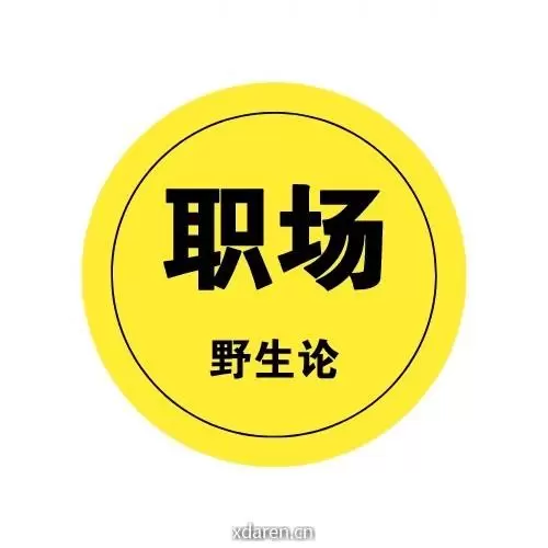 职场野生论