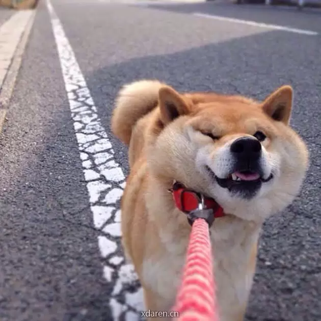 王铁根