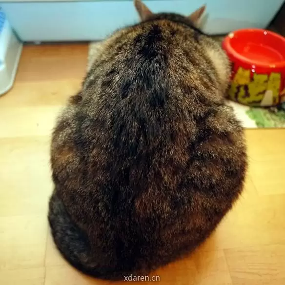 与尔同扯万古淡