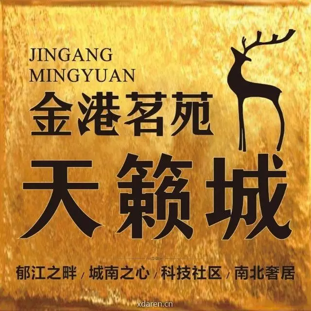金港置业