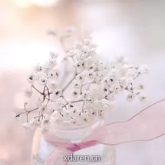 满天都是星