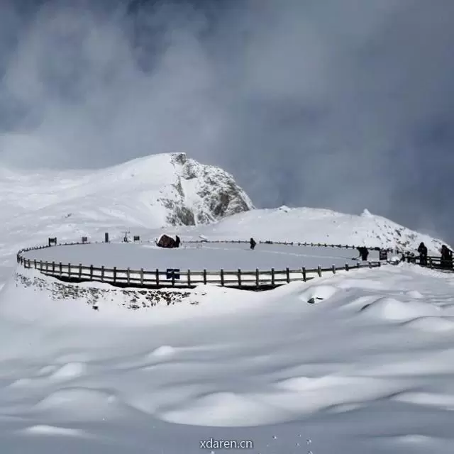 喝不醉的假酒