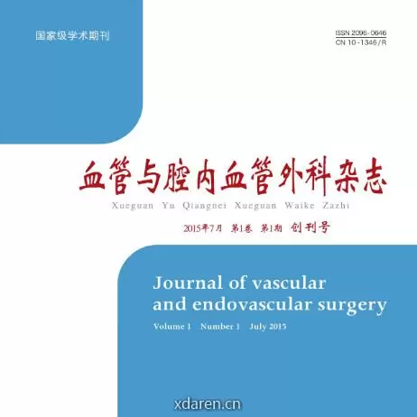 血管与腔内血管外科杂志